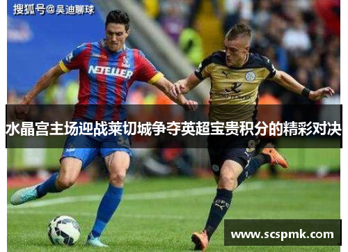 水晶宫主场迎战莱切城争夺英超宝贵积分的精彩对决